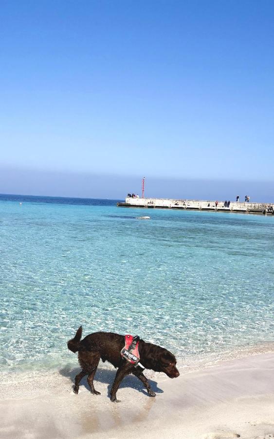 Happy Home - Mondello Παλέρμο Εξωτερικό φωτογραφία